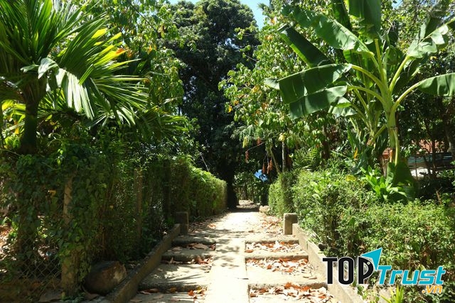 Làng trái cây Đại Bình