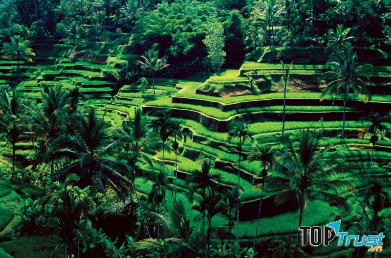 Làng Ubud