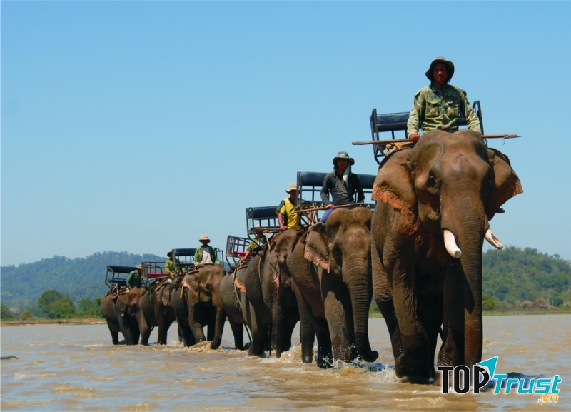 Làng voi Nhơn Hòa