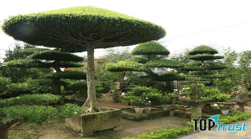Làng vườn Bách Thuận