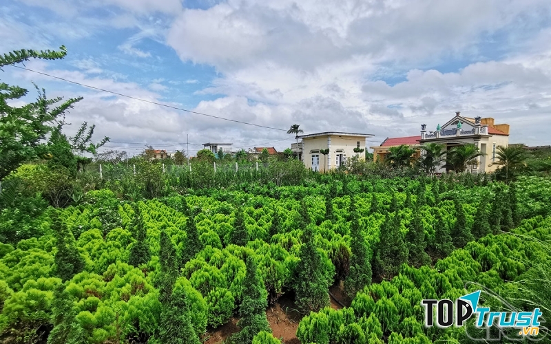 Làng vườn Bách Thuận