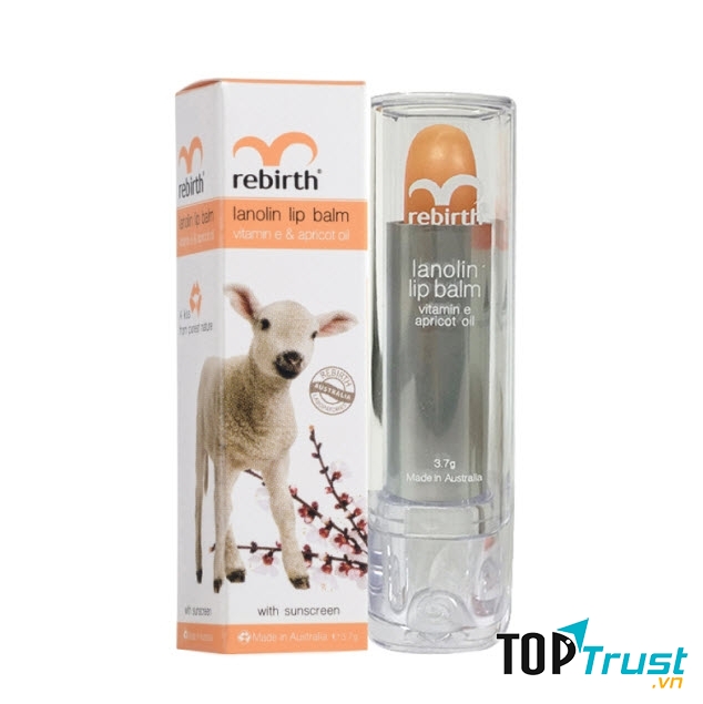Rebirth Lanolin Lip Balm with Vitamin E & Apricot Oil