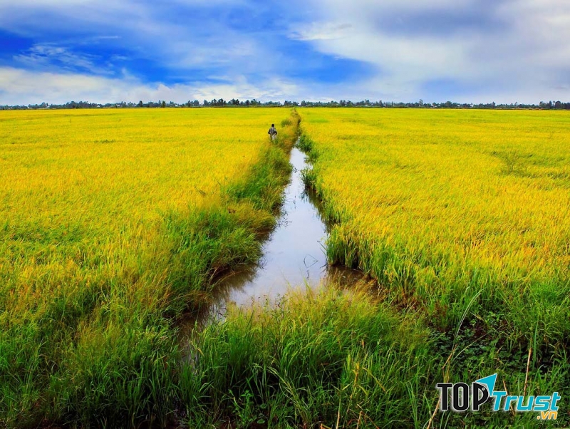 Ảnh minh họa (Nguồn internet)