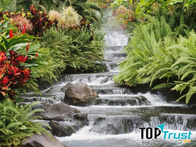 Ảnh minh họa (Nguồn internet)