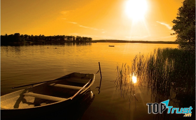 Ảnh minh họa (Nguồn internet)