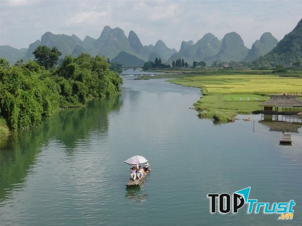 Ảnh minh họa (Nguồn internet)