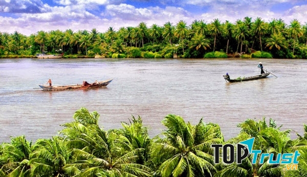 Ảnh minh họa (Nguồn internet)