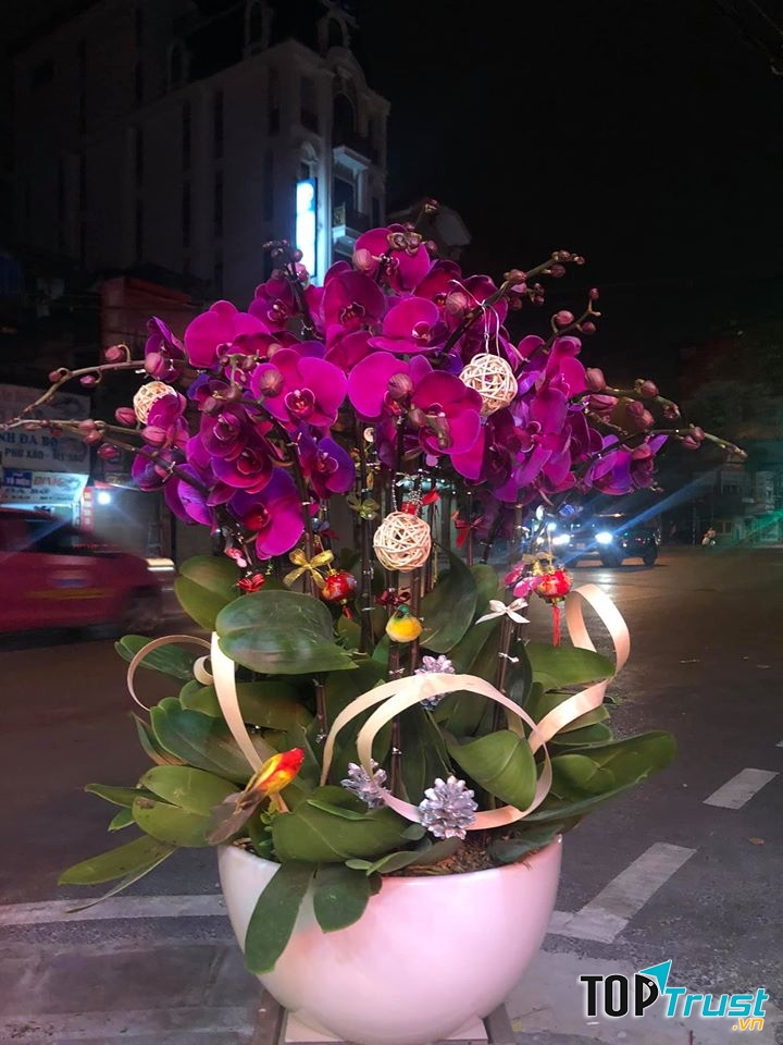 Larosa Flower
