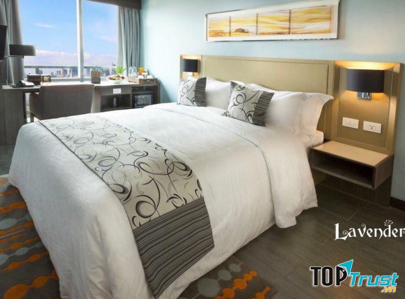 Lavender - Chăn drap Hàn Quốc