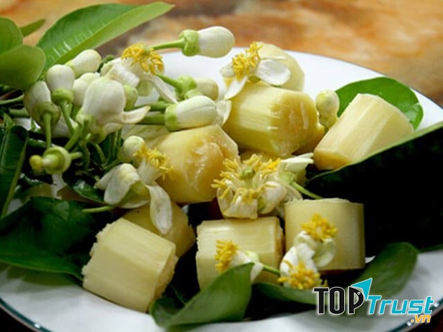 Lấy cao răng tại nhà bằng bã mía