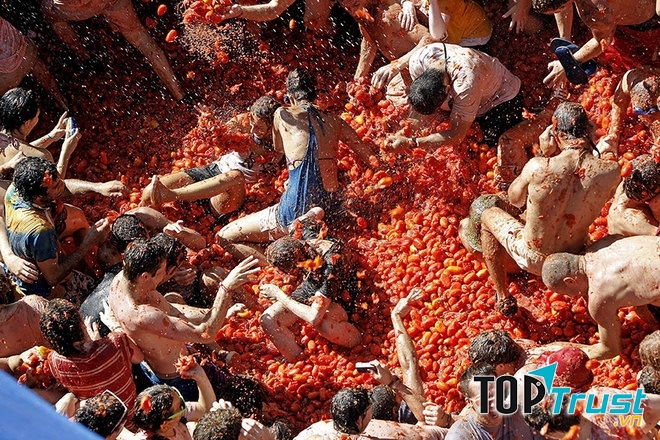 Lễ hội cà chua La Tomatina