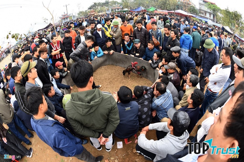 Lễ hội chọi gà