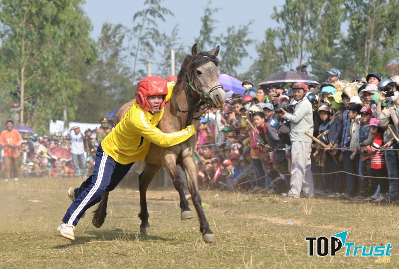 Màn đua ngựa đẹp mắt