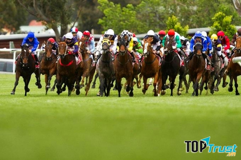 Lễ hội đua ngựa thuần chủng, thành phố Melbourne, Australia