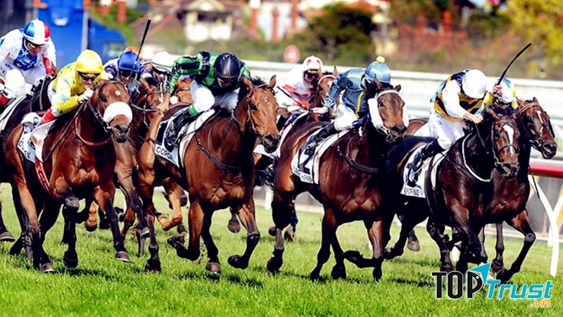 Lễ hội đua ngựa thuần chủng, thành phố Melbourne, Australia