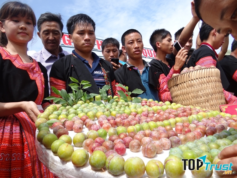 Lễ hội hái mận tại Mộc Châu 2017