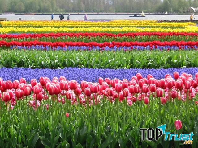 Lễ hội hoa Floriade, Hà Lan