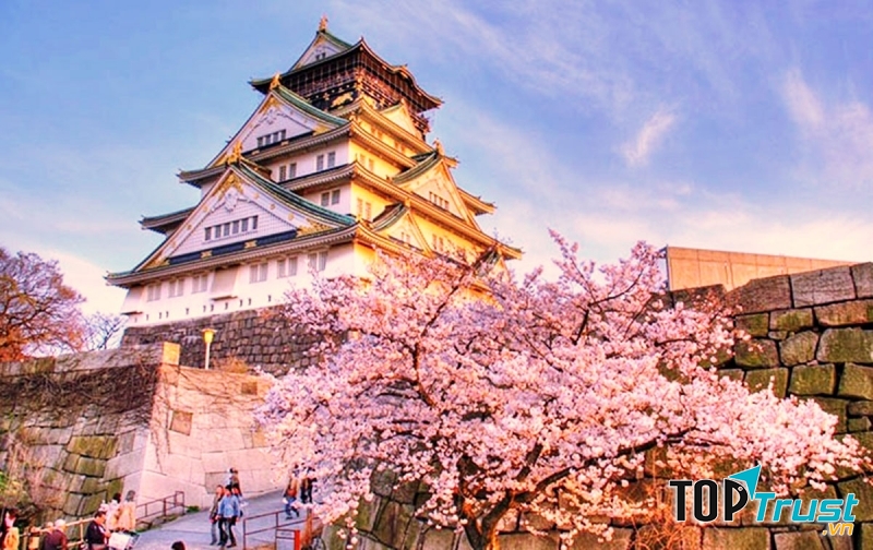 Lễ hội hoa Hanami – Nhật Bản