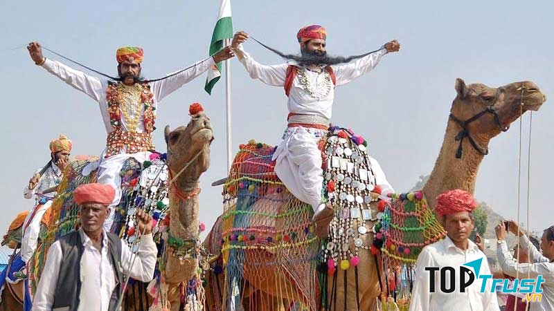 Đây là lễ hội lạc đà lớn nhất của Ấn Độ.