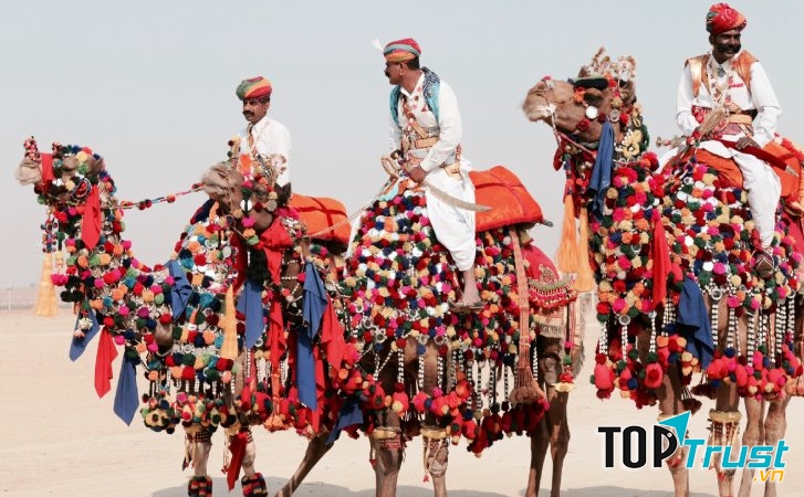 Với những chú lạc đà rực rỡ sắc màu được đi dạo một vòng trên sa mạc.