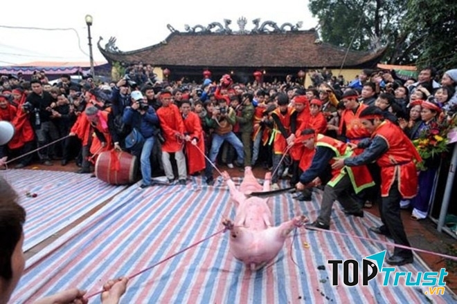 Lễ hội tế heo tại Bắc Ninh