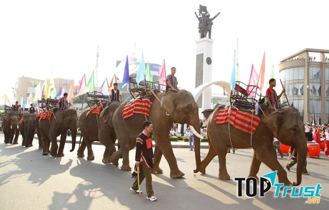 Lễ hội voi diễn ra trong cùng chuỗi lế hội Cafe Buôn Ma Thuột 2017