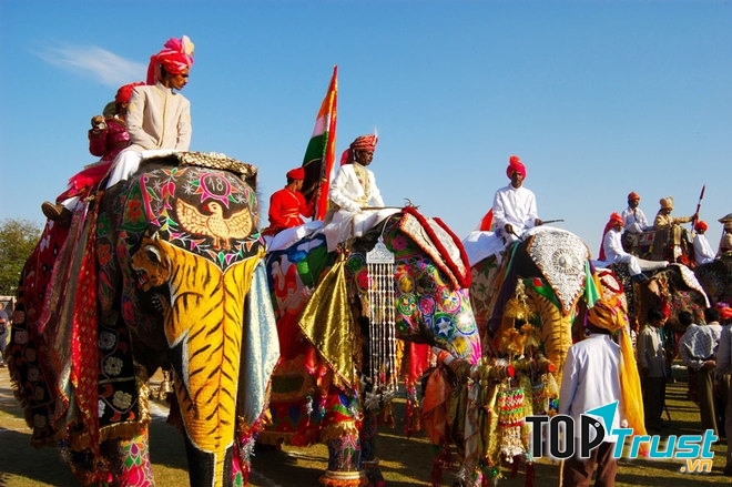 Lễ hội voi ở Jaipur (Ấn Độ)
