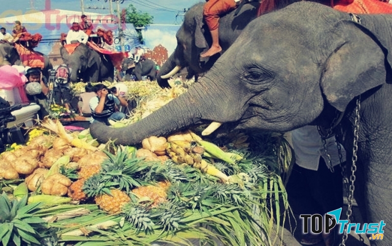 Lễ hội voi, Surin, Thái Lan