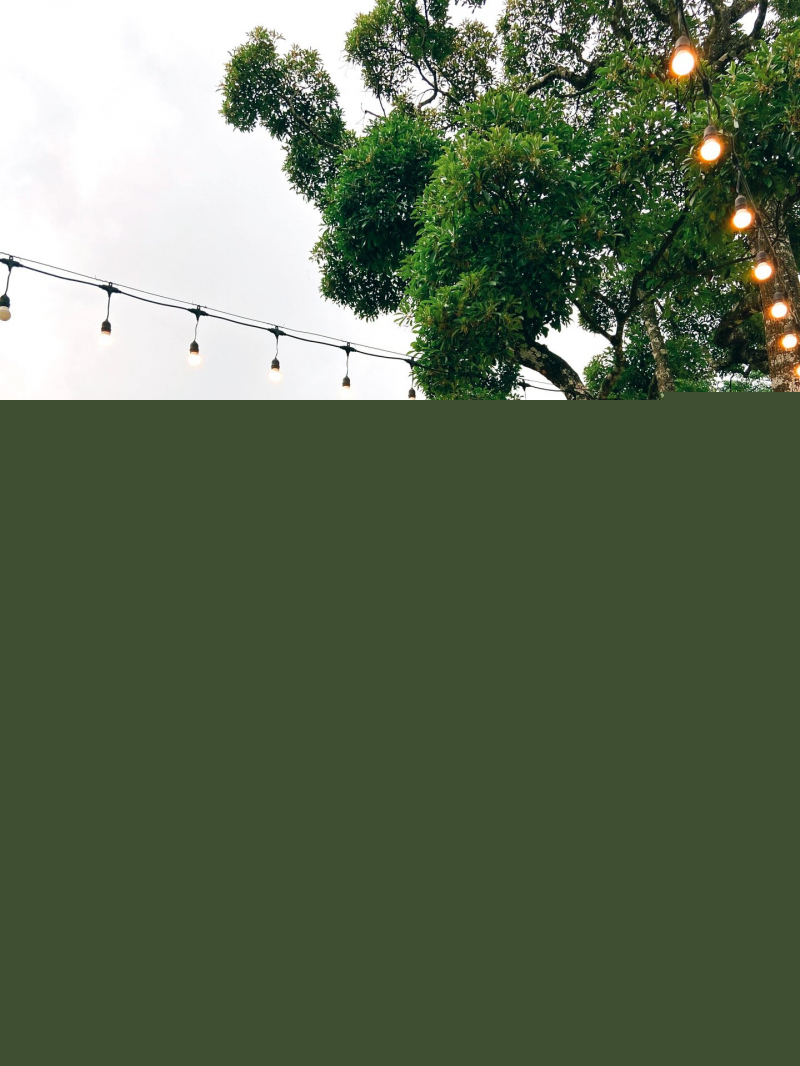Le Vent Tam Đảo