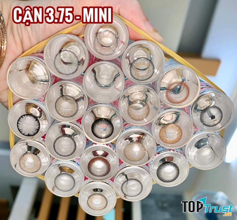 Lê Viên Contact Lens