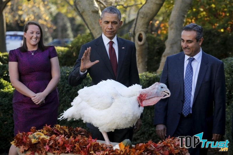 Lễ xá tội gà tây