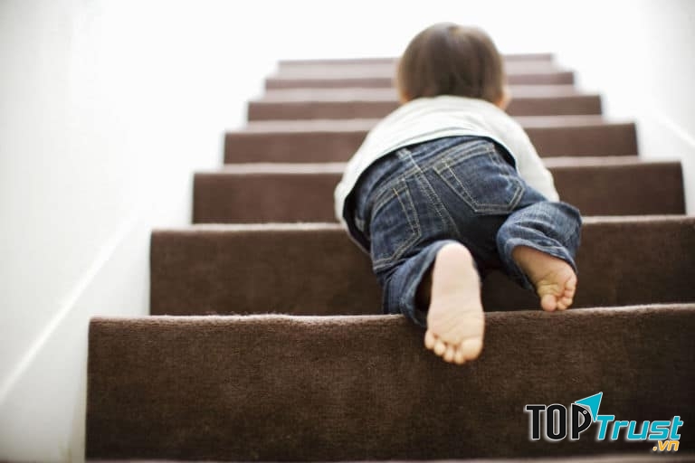 Leo cầu thang và bắt chước tiếng kêu của các con vật.