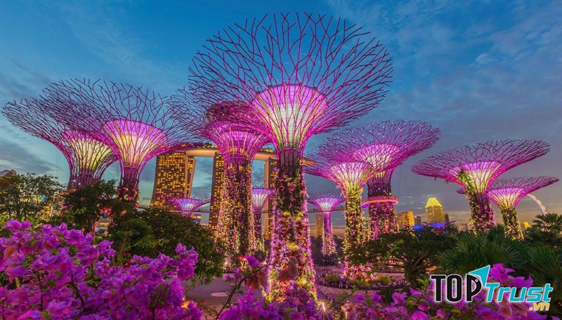 Công viên ánh sáng tại Singapore