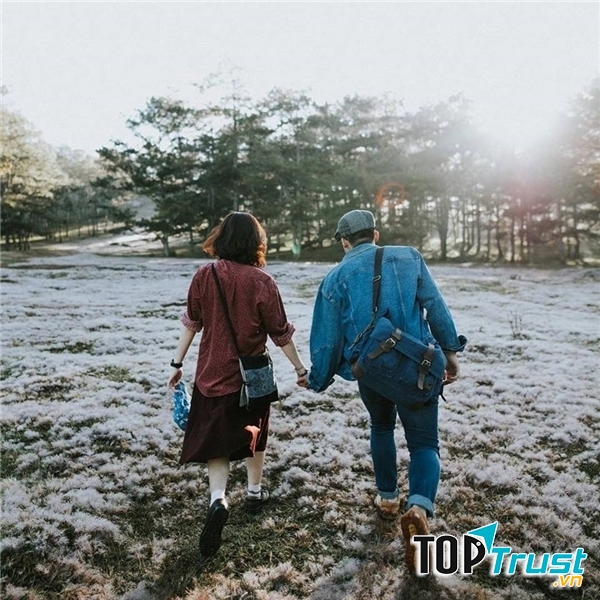 Ảnh minh họa ( Nguồn Internet)