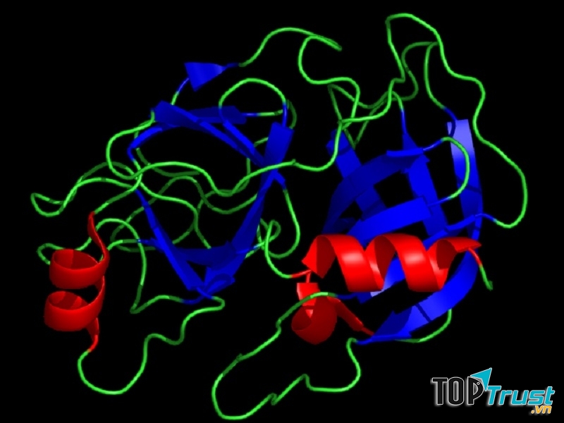 Liệu pháp Enzyme