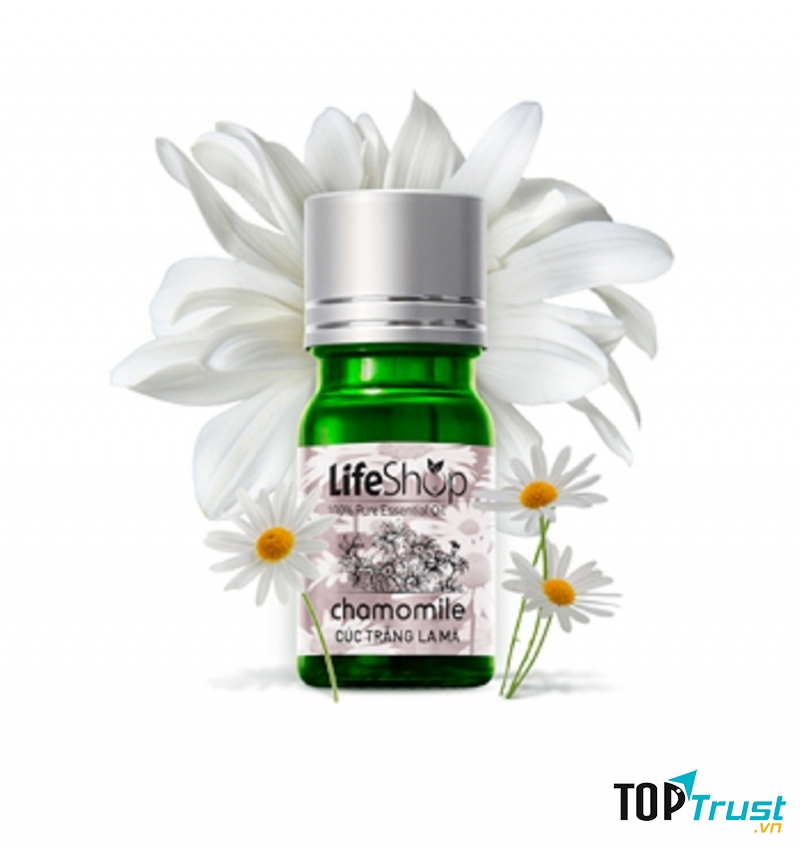 Tinh dầu cúc la mã (hình ảnh lấy từ website của Life Shop)