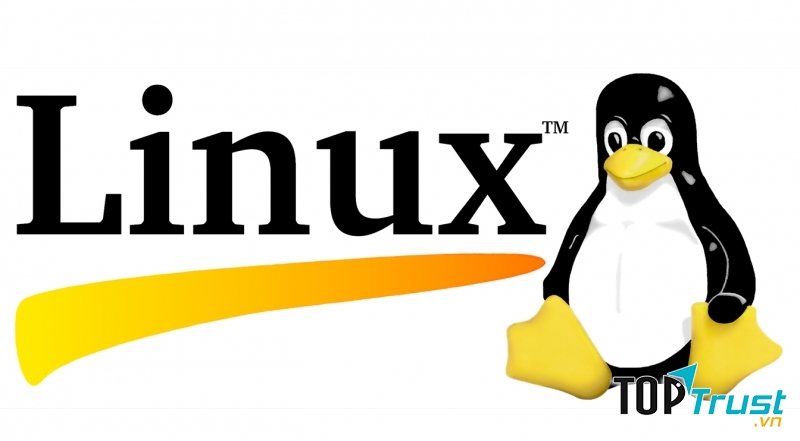 Dù ít được sử dụng nhưng Linux vẫn là một trong những hệ điều hành phổ biến nhất hiện nay