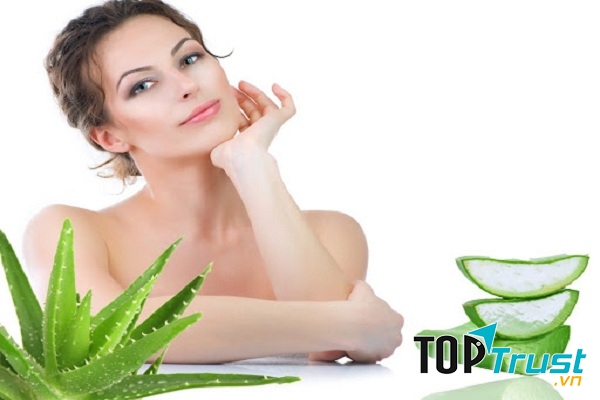 Bạn cũng có thể dùng lô hội để đắp lên những nốt mụn