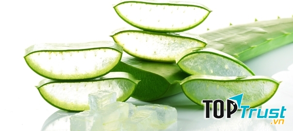 Lô hội trị mụn hiệu quả