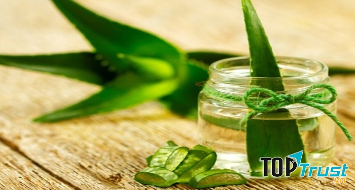 Lô hội đã quá quen thuộc trong việc làm đẹp đặc biệt là đối với mái tóc