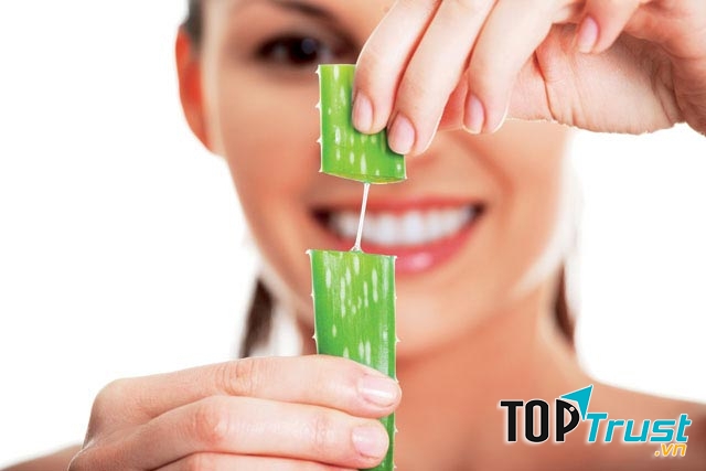 Lô hội (nha đam) chữa liền sẹo rất tốt.