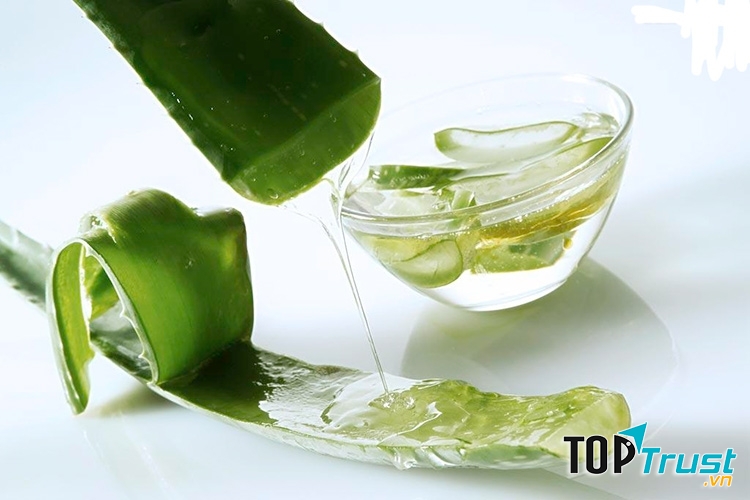 Nha đam với khả năng tái tạo các tế bào da, và giúp làm mờ sẹo, kháng viêm, kháng trùng