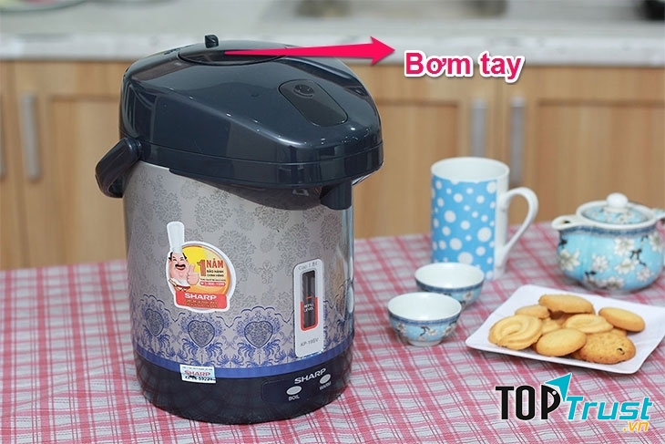 Loại bình bơm tay