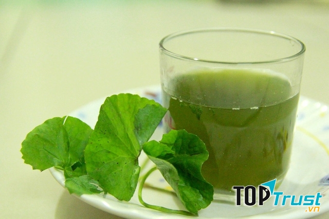 Nước rau má giúp giải độc, thanh nhiệt