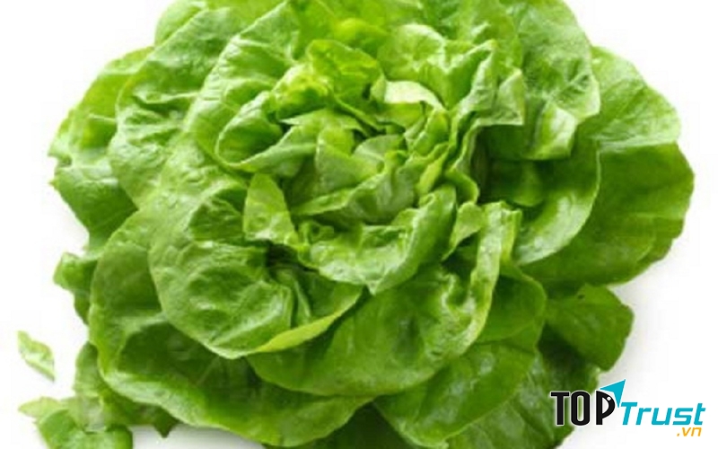 Rau diếp tốt cho cơ thể