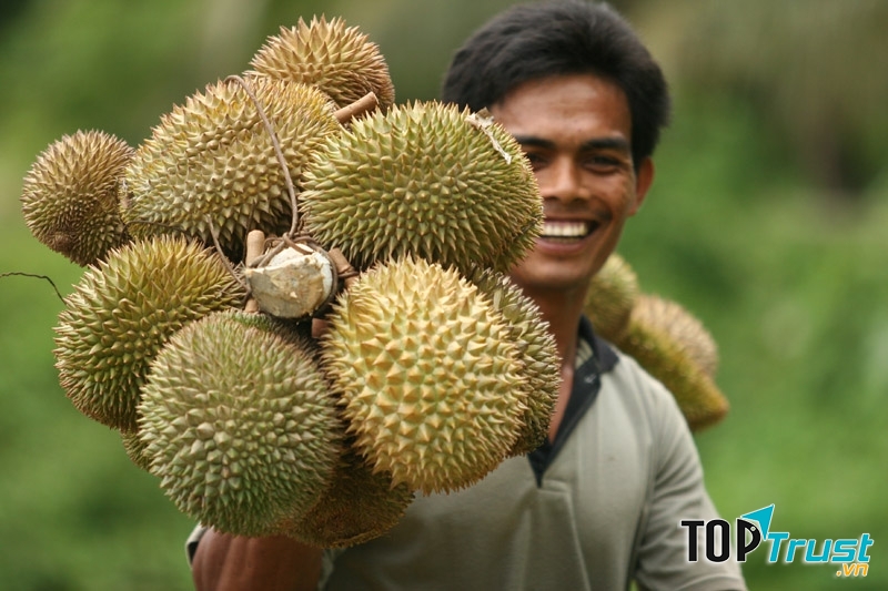 Loại trái cây được vua dùng chinh phục người đẹp