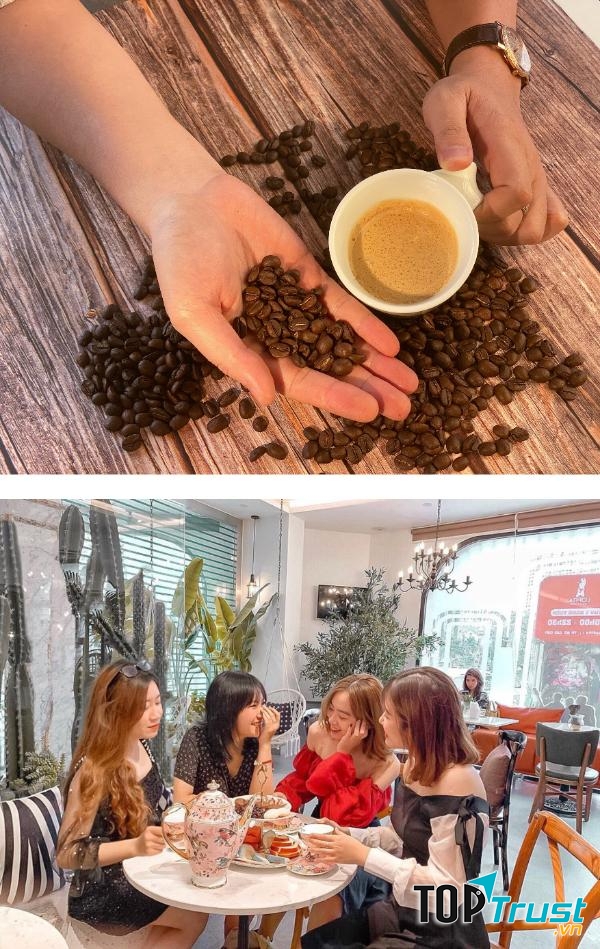 Lofita Tea & Coffee