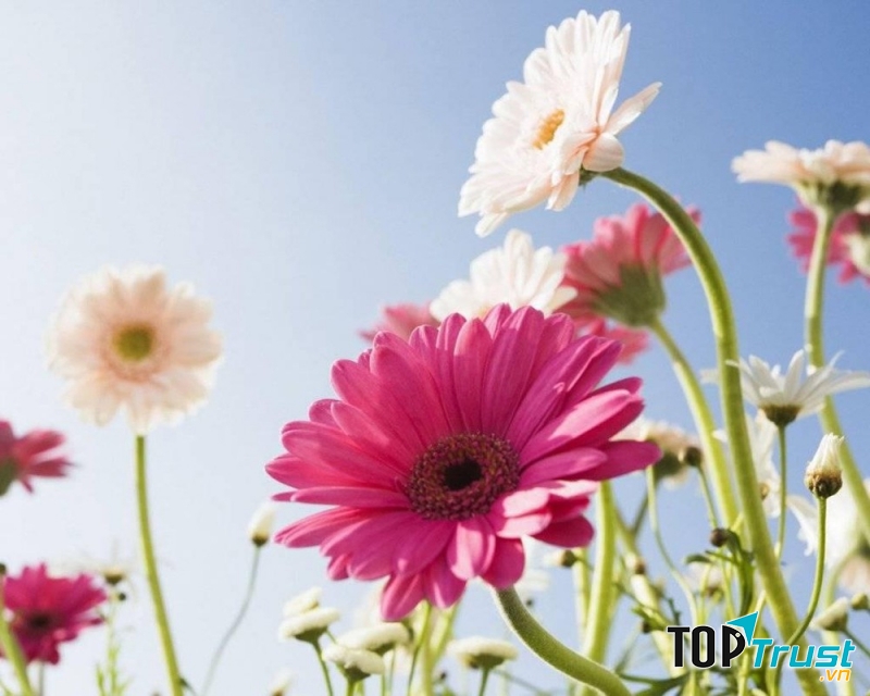 Lời chúc số 3