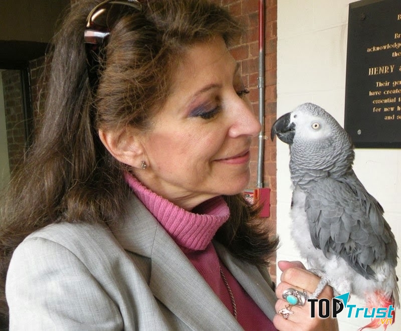 Ảnh minh họa (Nguồn Internet)