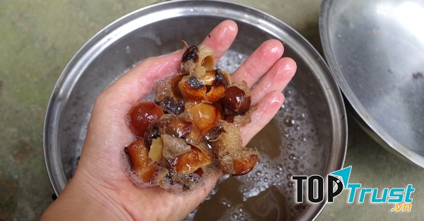 Bồ hòn giặt rất sạch và bảo vệ quần áo